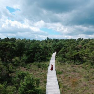 Landgoed Twickel Twente Delden vlonderpad2