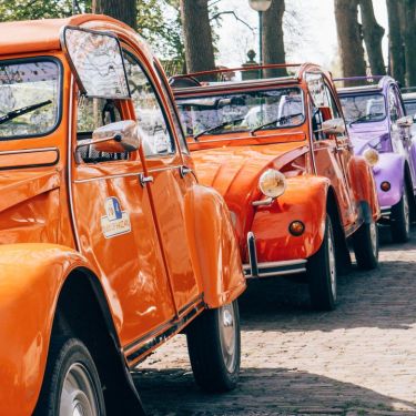 Eendjes toeren Laag Holland