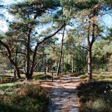 Rijssen - Holten